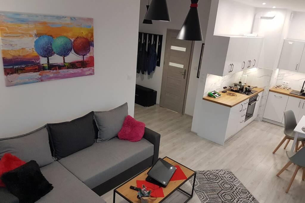 Komfortowy Nowoczesny Apartament Kustronia Z Garazem Balkonem Wanna Bielsko-Biała Exterior photo